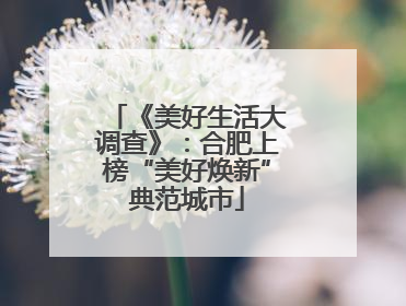 《美好生活大调查》：合肥上榜“美好焕新”典范城市