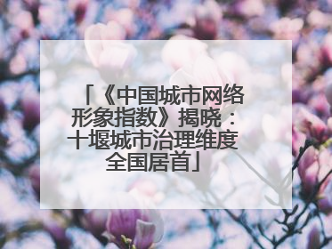 《中国城市网络形象指数》揭晓：十堰城市治理维度全国居首