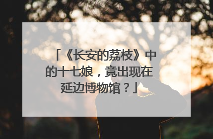 《长安的荔枝》中的十七娘，竟出现在延边博物馆？