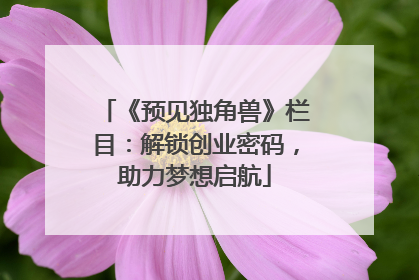 《预见独角兽》栏目：解锁创业密码，助力梦想启航