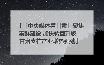 「中央媒体看甘肃」聚焦集群建设 加快转型升级 甘肃支柱产业增势强劲
