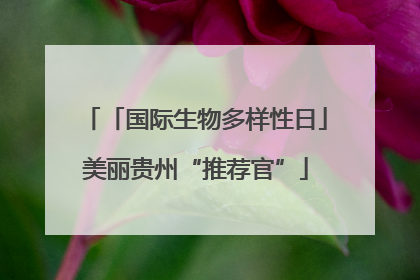 「国际生物多样性日」美丽贵州“推荐官”