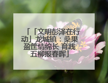 「文明彭泽在行动」龙城镇：桑果盈筐情绵长 育践五柳报春晖