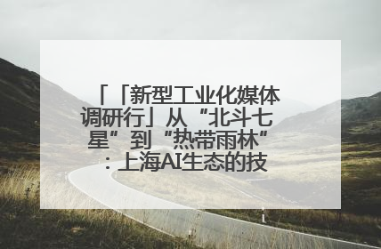 「新型工业化媒体调研行」从“北斗七星”到“热带雨林”：上海AI生态的技术商业共生密码