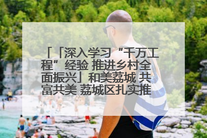 「深入学习“千万工程”经验 推进乡村全面振兴」和美荔城 共富共美 荔城区扎实推进乡村振兴工作