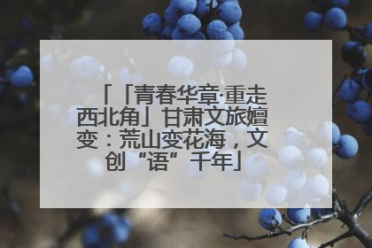 「青春华章·重走西北角」甘肃文旅嬗变：荒山变花海，文创“语”千年
