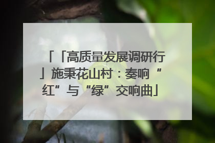 「高质量发展调研行」施秉花山村：奏响“红”与“绿”交响曲