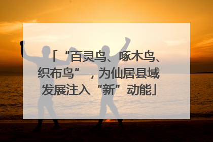 “百灵鸟、啄木鸟、织布鸟”，为仙居县域发展注入“新”动能