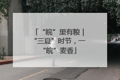 “皖”里有粮｜“三夏”时节，一“皖”麦香