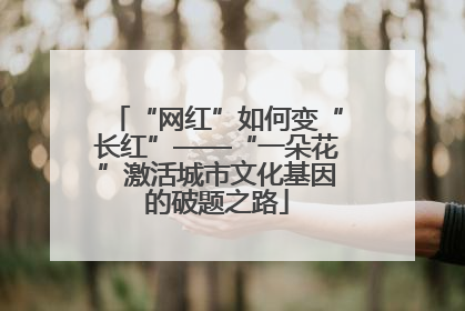 “网红”如何变“长红”——“一朵花”激活城市文化基因的破题之路