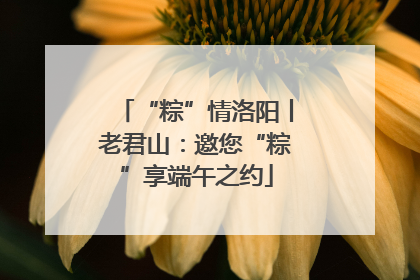 “粽”情洛阳丨老君山：邀您“粽”享端午之约