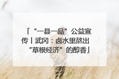 “一县一品”公益宣传丨武冈：卤水里熬出“草根经济”的醇香