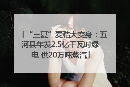 “三夏”麦秸大变身：五河县年发2.5亿千瓦时绿电 供20万吨蒸汽