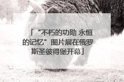 “不朽的功勋 永恒的记忆”图片展在俄罗斯圣彼得堡开幕