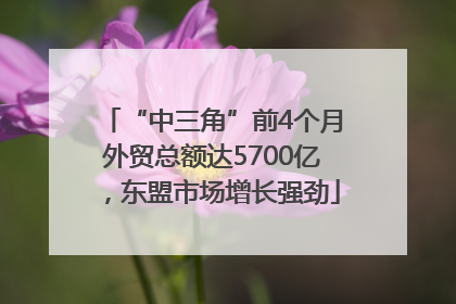 “中三角”前4个月外贸总额达5700亿，东盟市场增长强劲
