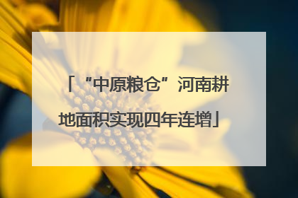 “中原粮仓”河南耕地面积实现四年连增