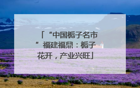 “中国栀子名市”福建福鼎：栀子花开，产业兴旺