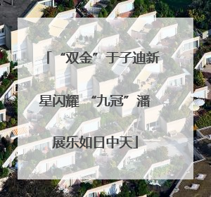 “双金”于子迪新星闪耀 “九冠”潘展乐如日中天