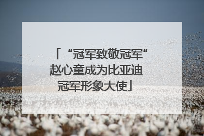 “冠军致敬冠军” 赵心童成为比亚迪冠军形象大使