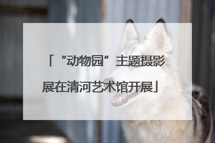 “动物园”主题摄影展在清河艺术馆开展