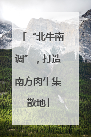 “北牛南调”，打造南方肉牛集散地