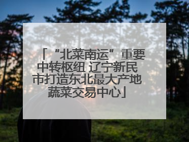 “北菜南运”重要中转枢纽 辽宁新民市打造东北最大产地蔬菜交易中心