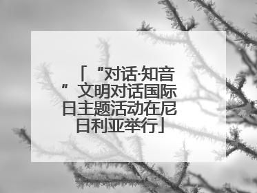 “对话·知音”文明对话国际日主题活动在尼日利亚举行