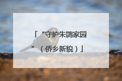 “守护朱鹮家园”（侨乡新貌）