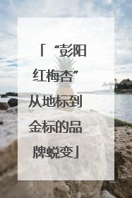 “彭阳红梅杏”从地标到金标的品牌蜕变