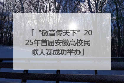 “徽音传天下”2025年首届安徽高校民歌大赛成功举办