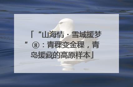 “山海情・雪域援梦”⑧：青稞变金稞，青岛援藏的高原样本
