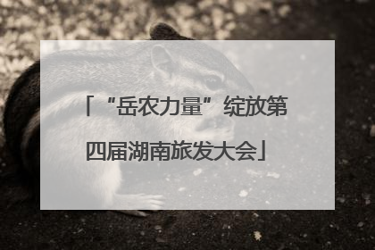 “岳农力量”绽放第四届湖南旅发大会