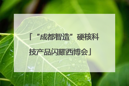 “成都智造”硬核科技产品闪耀西博会