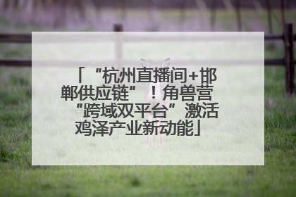 “杭州直播间+邯郸供应链”！角兽营“跨域双平台”激活鸡泽产业新动能