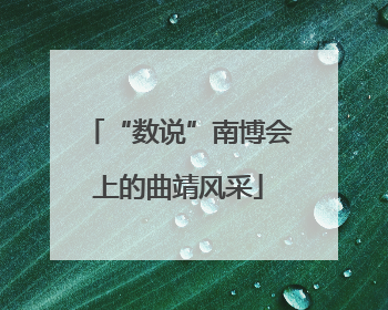 “数说”南博会上的曲靖风采