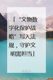 “文物数字化保护战略”写入法规，守护文明需担当