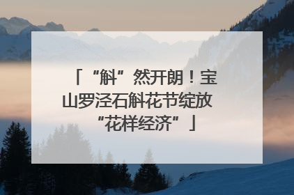 “斛”然开朗！宝山罗泾石斛花节绽放“花样经济”