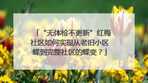 “无体检不更新”红梅社区如何实现从老旧小区蝶到完整社区的蝶变？