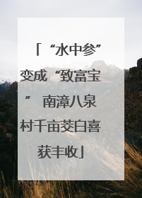 “水中参”变成“致富宝” 南漳八泉村千亩茭白喜获丰收