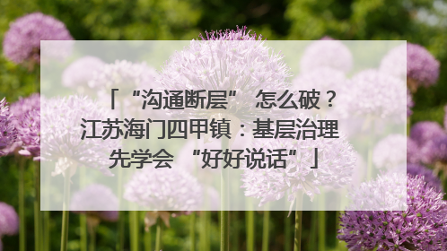 “沟通断层” 怎么破？江苏海门四甲镇：基层治理 先学会 “好好说话”