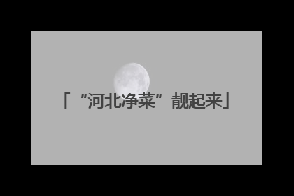 “河北净菜”靓起来