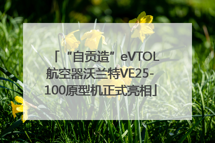 “自贡造”eVTOL航空器沃兰特VE25-100原型机正式亮相