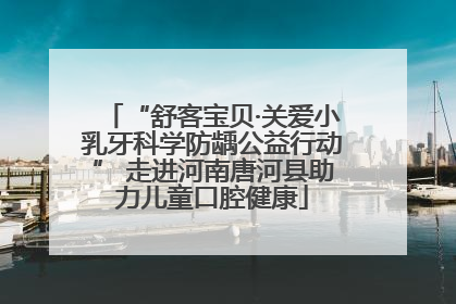 “舒客宝贝·关爱小乳牙科学防龋公益行动” 走进河南唐河县助力儿童口腔健康