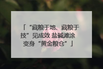 “藏粮于地、藏粮于技”见成效 盐碱滩涂变身“黄金粮仓”