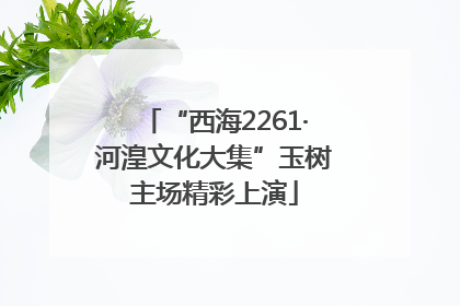 “西海2261·河湟文化大集”玉树主场精彩上演
