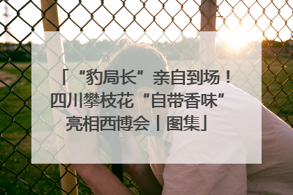 “豹局长”亲自到场！四川攀枝花“自带香味”亮相西博会丨图集