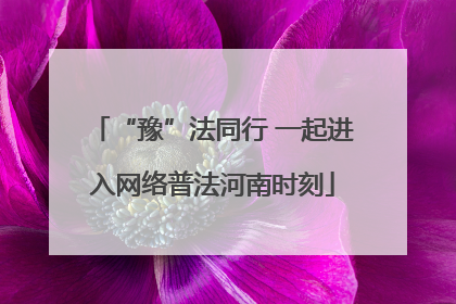 “豫”法同行 一起进入网络普法河南时刻