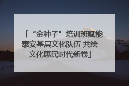 “金种子”培训班赋能泰安基层文化队伍 共绘文化惠民时代新卷
