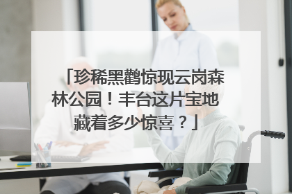 珍稀黑鹳惊现云岗森林公园！丰台这片宝地藏着多少惊喜？