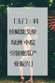 玉门：科技赋能戈壁绿洲 小院引领蜜瓜产业振兴